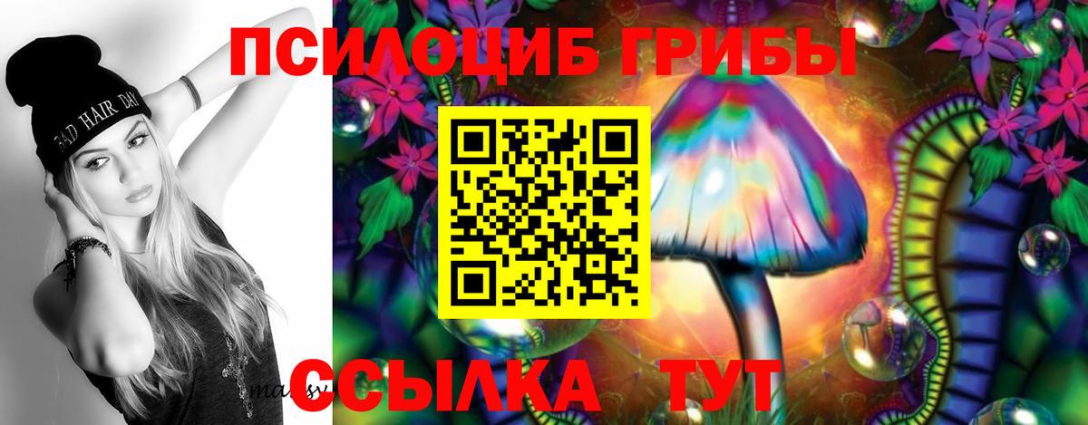 Галлюциногенные грибы GOLDEN TEACHER Барнаул