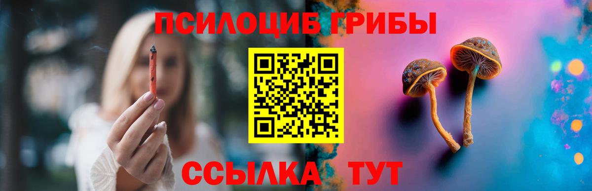 Галлюциногенные грибы MAGIC MUSHROOMS  Вход с VPN  Барнаул 